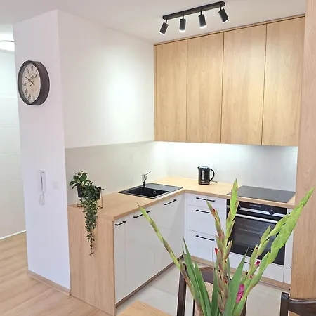 Loft 24 - Prywatny Parking Nawet Na Samochody Dostawcze, F-ra Vat Apartament *