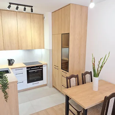 Loft 24 - Prywatny Parking Nawet Na Samochody Dostawcze, F-ra Vat Apartament Szczecin