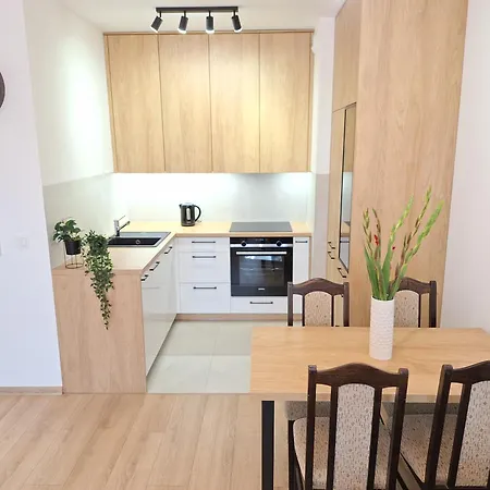 Loft 24 - Prywatny Parking Nawet Na Samochody Dostawcze, F-ra Vat *