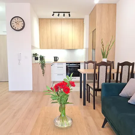 Apartament Loft 24 - Prywatny Parking Nawet Na Samochody Dostawcze, F-ra Vat Szczecin