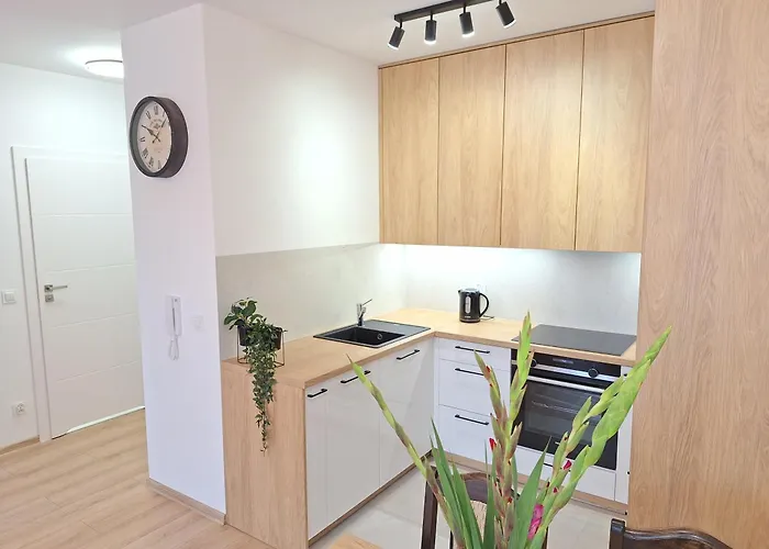 Loft 24 - Prywatny Parking Nawet Na Samochody Dostawcze, F-ra Vat Apartamento *