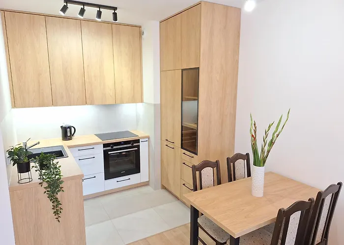 Loft 24 - Prywatny Parking Nawet Na Samochody Dostawcze, F-ra Vat Apartamento Szczecin